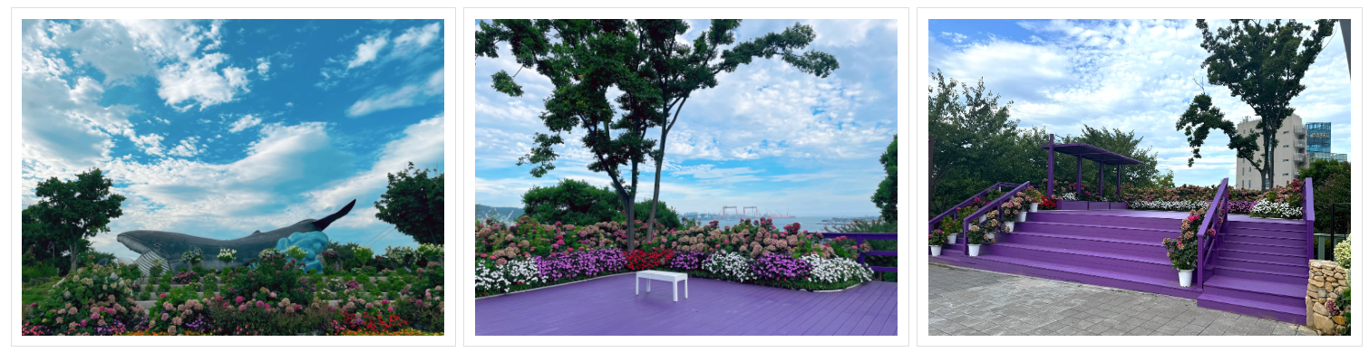 고래광장 전경 고래광장 데크