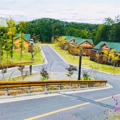 고대산 자영휴양림