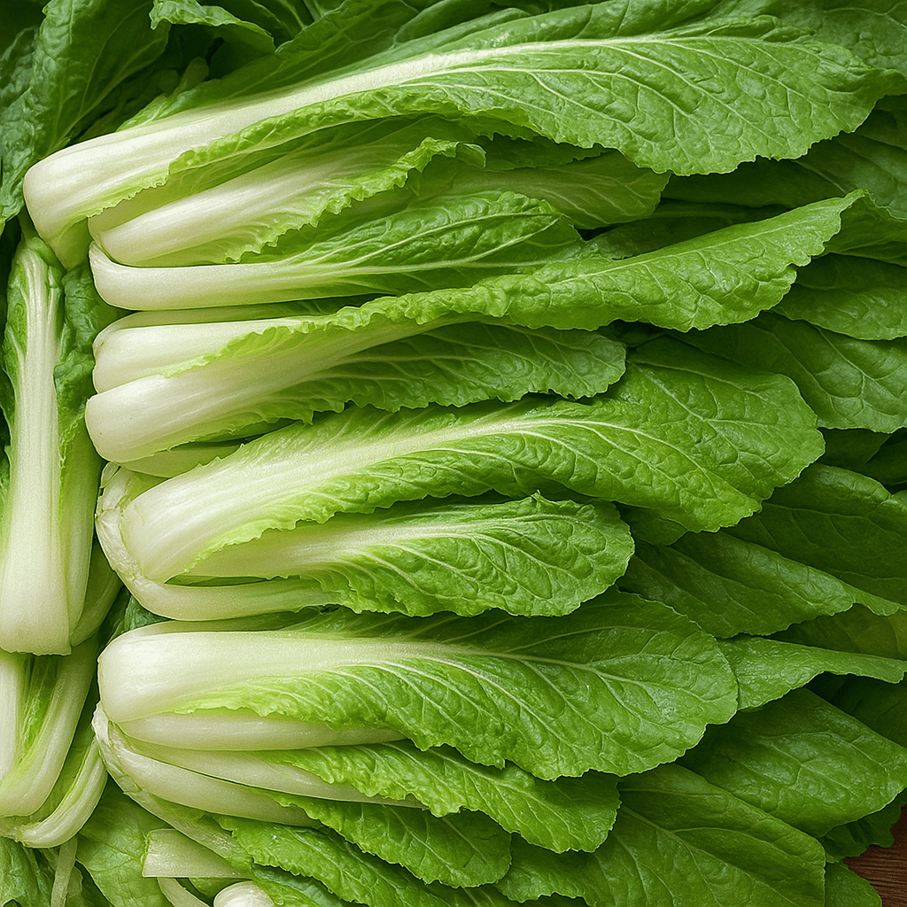 경남 밀양 얼갈이배추