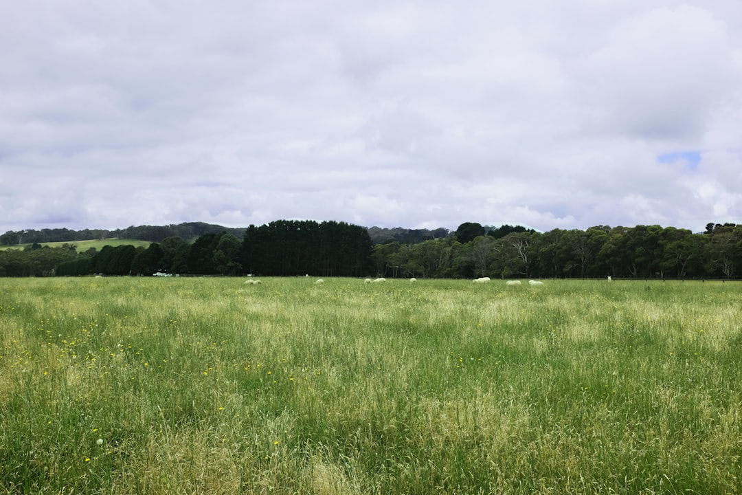 Land.