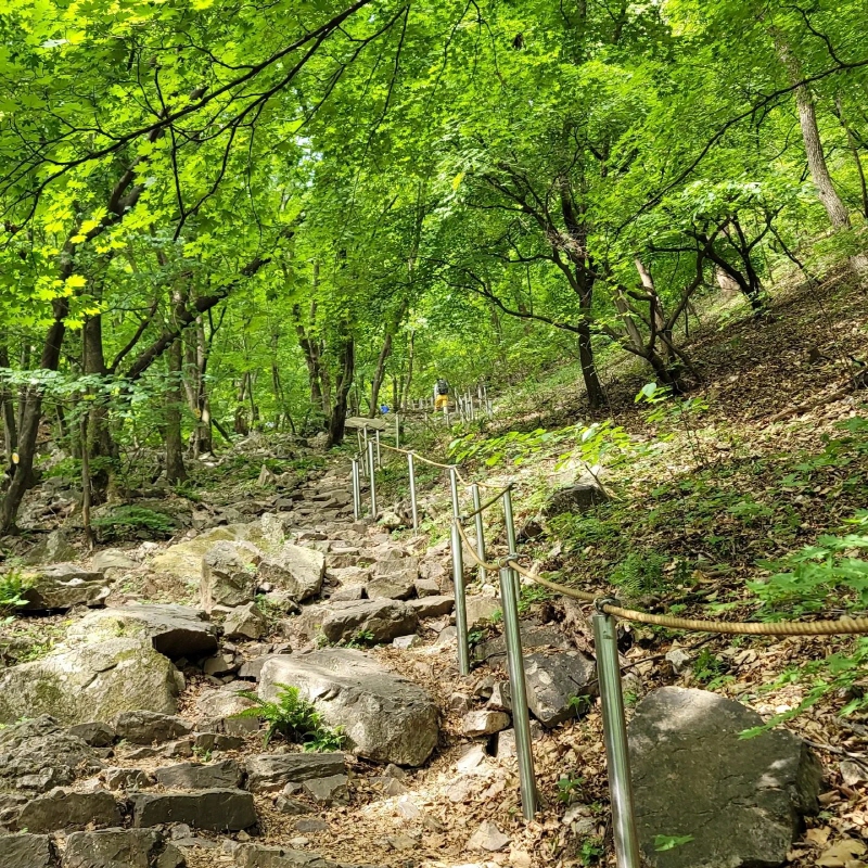 정상으로 가는 길