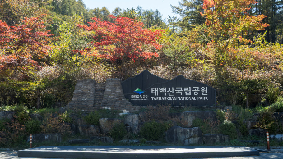 대체텍스트