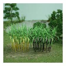 폴리코사놀 효능 부작용 (3주 섭취 후기)