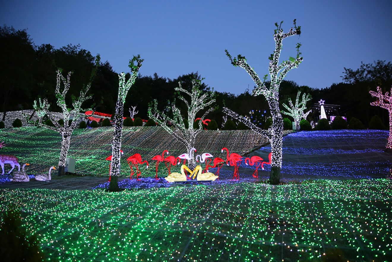 청도 프로방스 빛축제