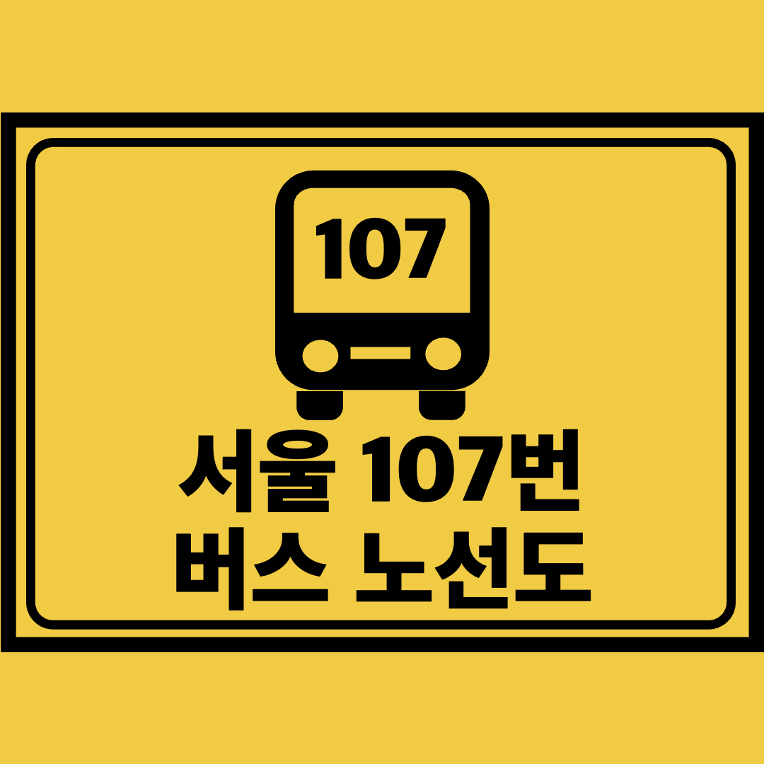서울107번버스노선도