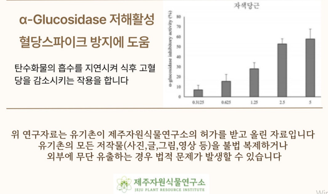 자색당근-삼색당근-효능