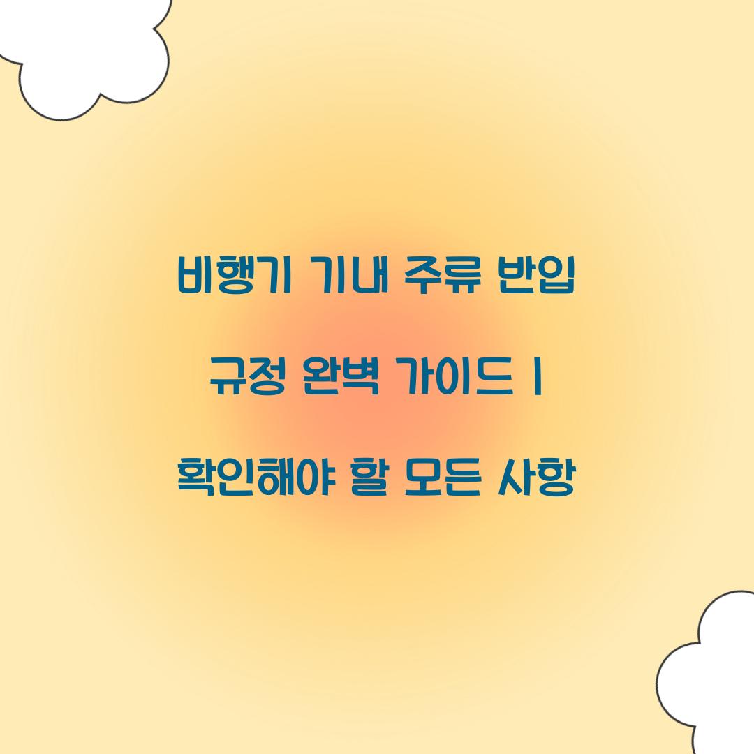 비행기 기내 주류 반입