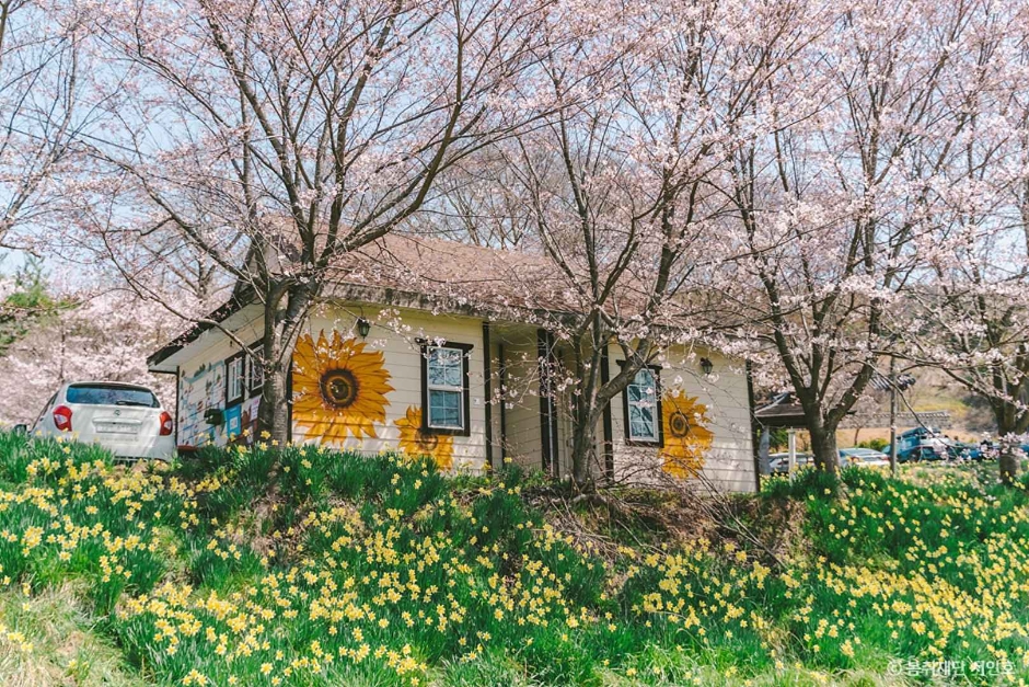 홍성 가볼만한곳 베스트10