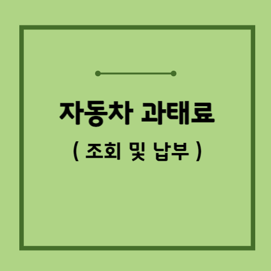 자동차-과태료-조회