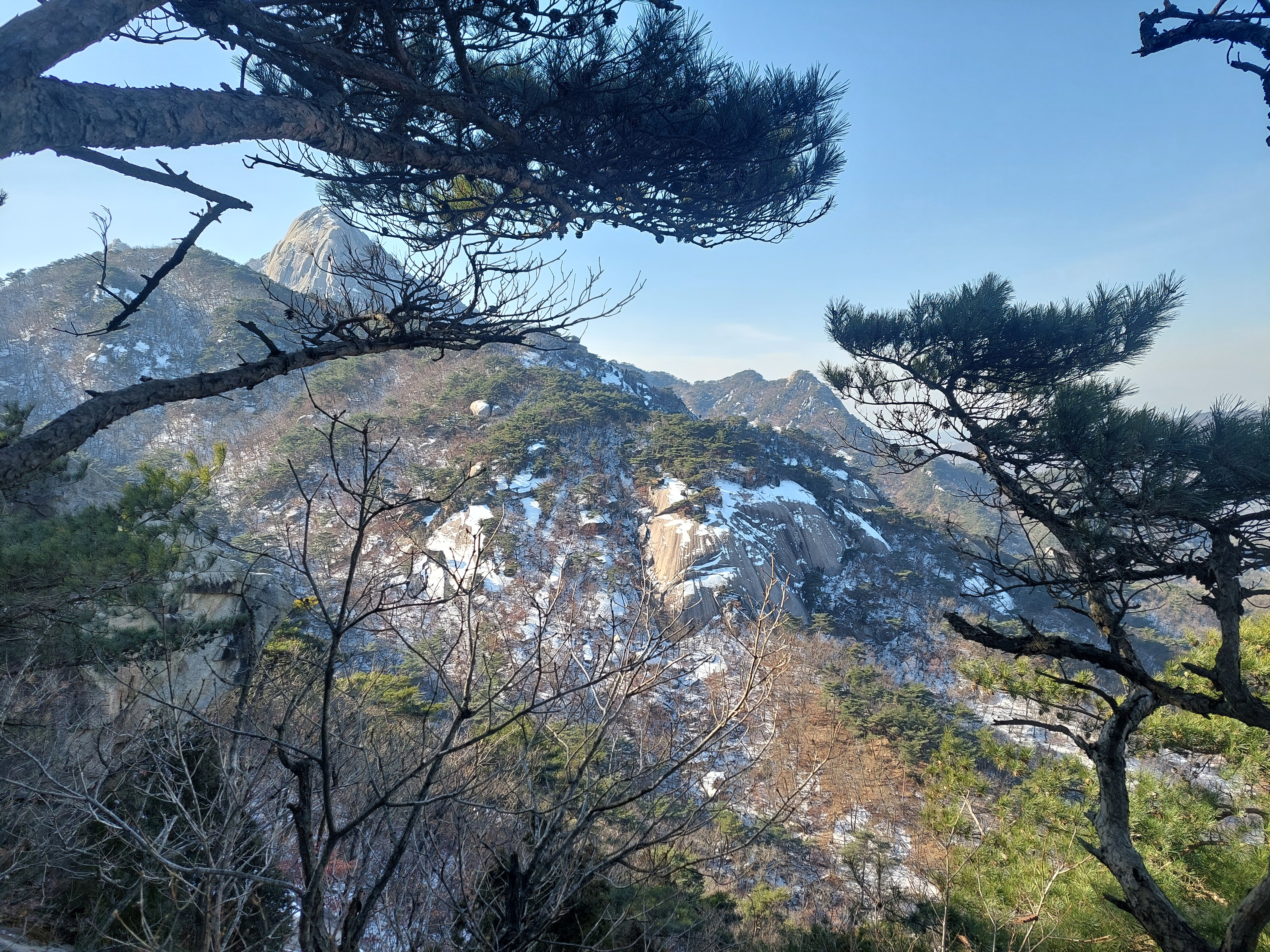영봉