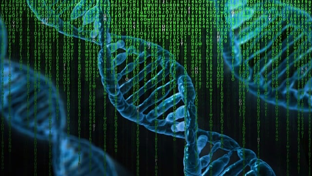 DNA 행렬