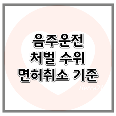 음주운전 처벌 수위 및 면허 취소 기준 (2025년 기준)