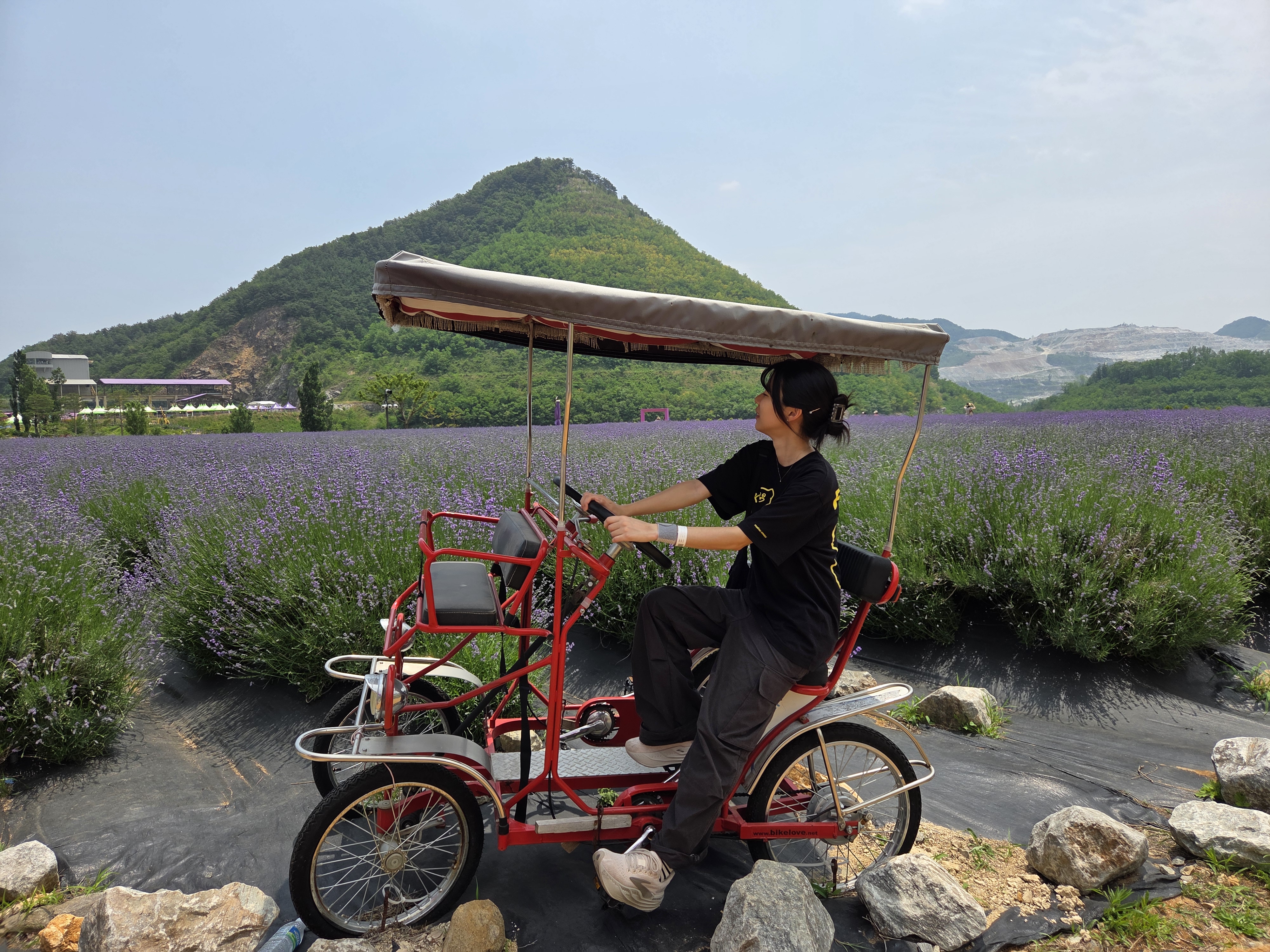 라벤더 정원 자전거