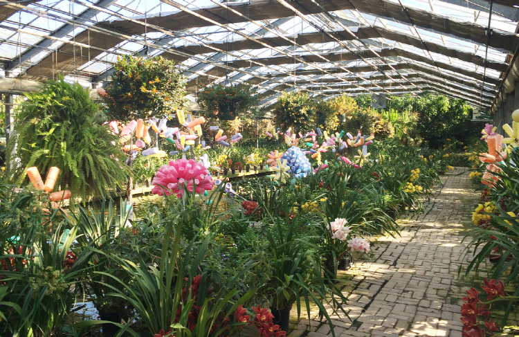 아산 세계꽃식물원