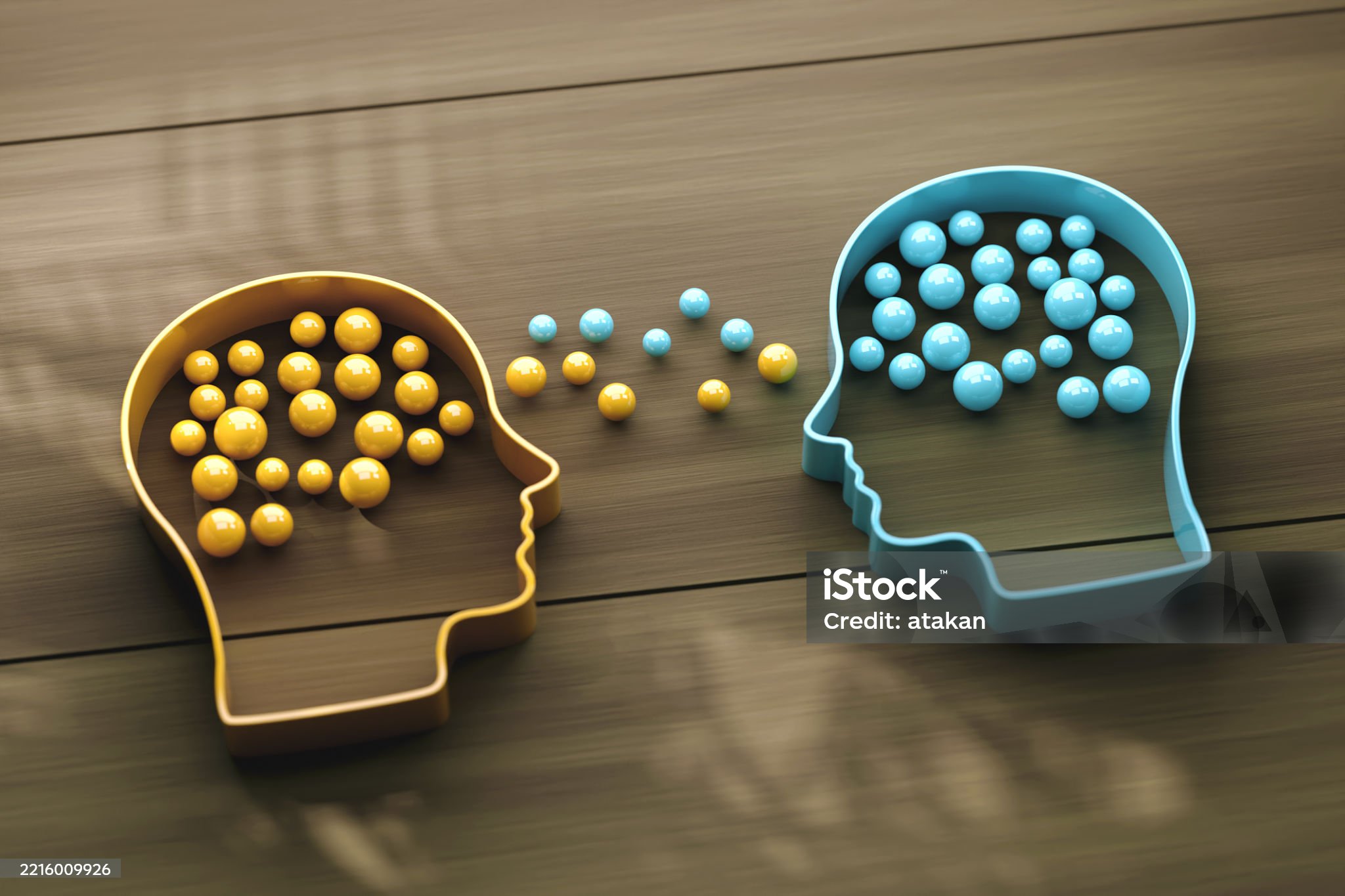 &lsquo;안정 속에서 자란 세대&rsquo;