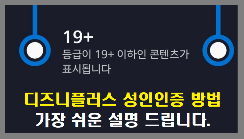 디즈니 플러스 성인인증 완벽 가이드