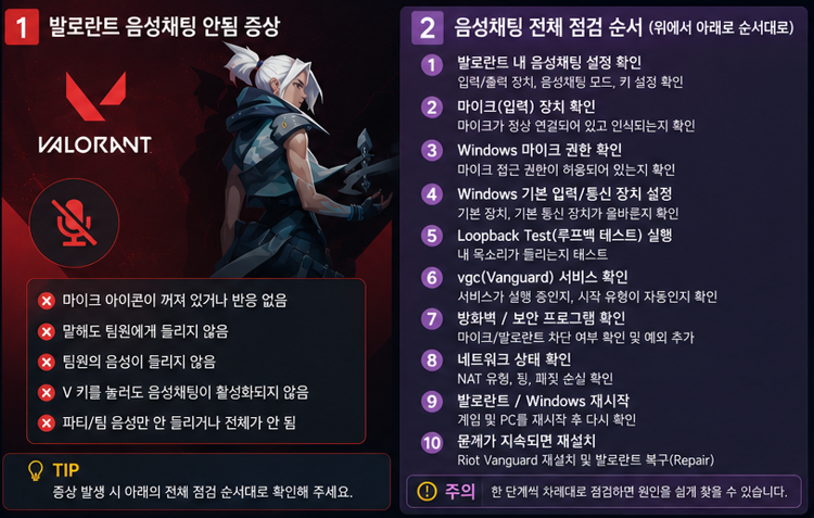 발로란트 음성채팅 문제 증상별 확인 항목