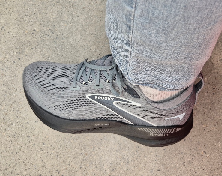 글리세린 GTS 22 카야노 31 비교