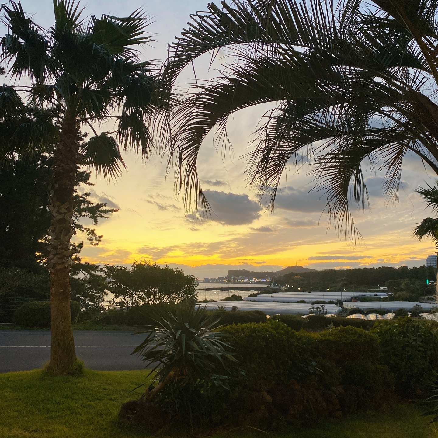 제주 쇠소깍 오션뷰 노을 맛집 보래드베이커스
