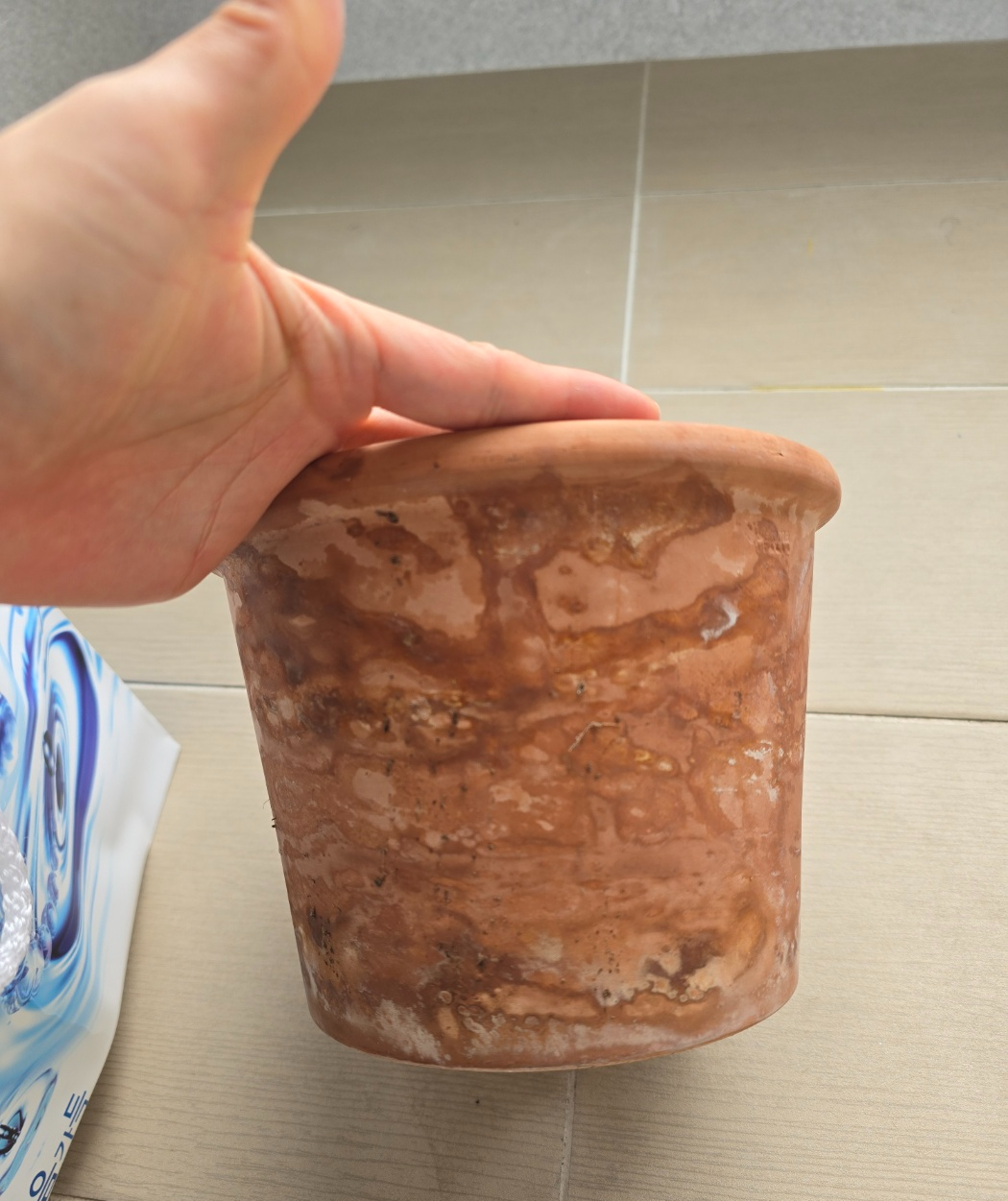 듬성듬성 곰팡이가 피고 있는 토분