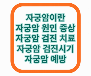 자궁암 원인 증상 검진 치료 예방