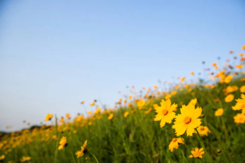 천안시 저소득층 치과지원 19