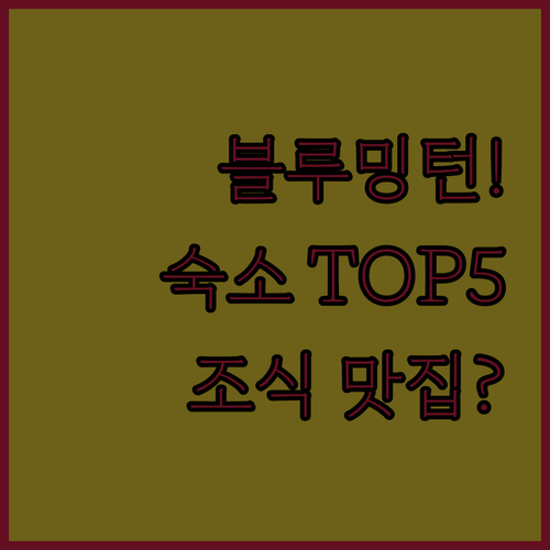 미국 일리노이 블루밍턴 숙소 추천 베..