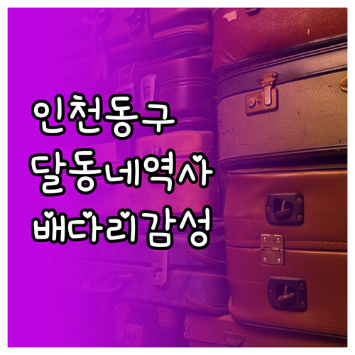 3월 인천 동구 여행 코스 추천 수도..