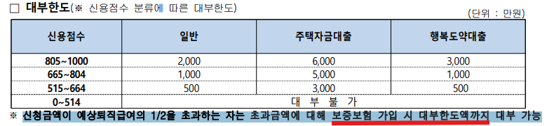 보증보험 가입 시 대부한도액까지 대부 가능