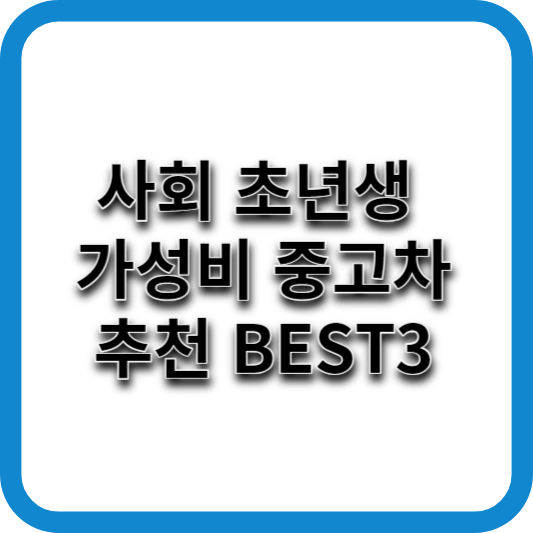 사회 초년생 가성비 중고차