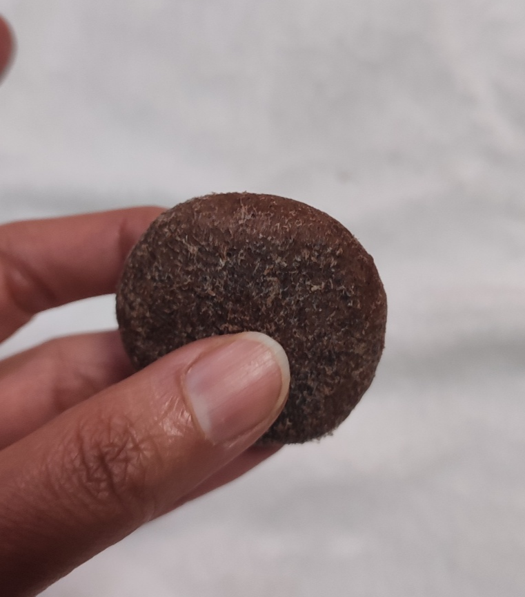 천비누솝 정안고