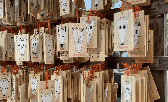 겨울 일본 온천여행 추천지