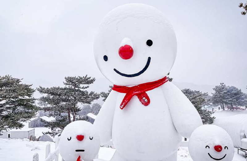 스노위랜드 비발디파크 눈썰매장