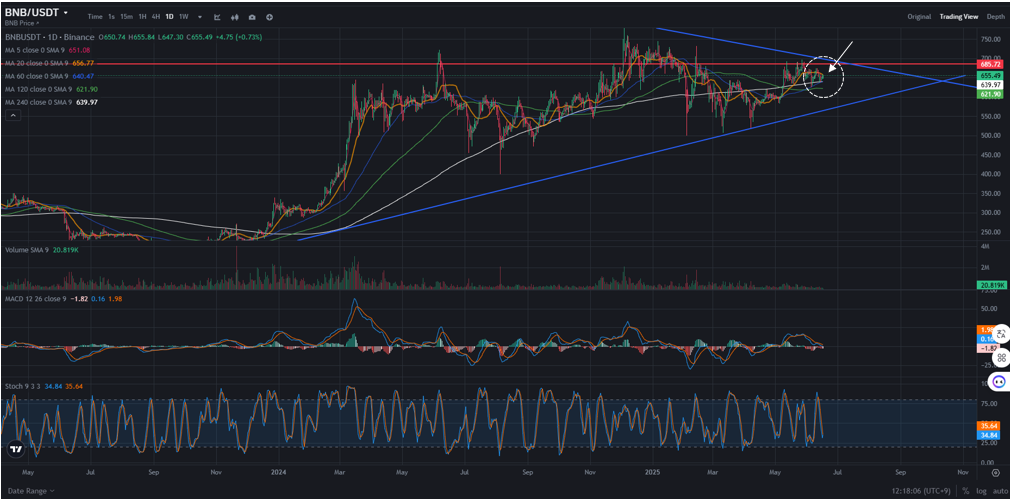 BNB 코인 시세 전망