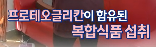 프로테오글리칸