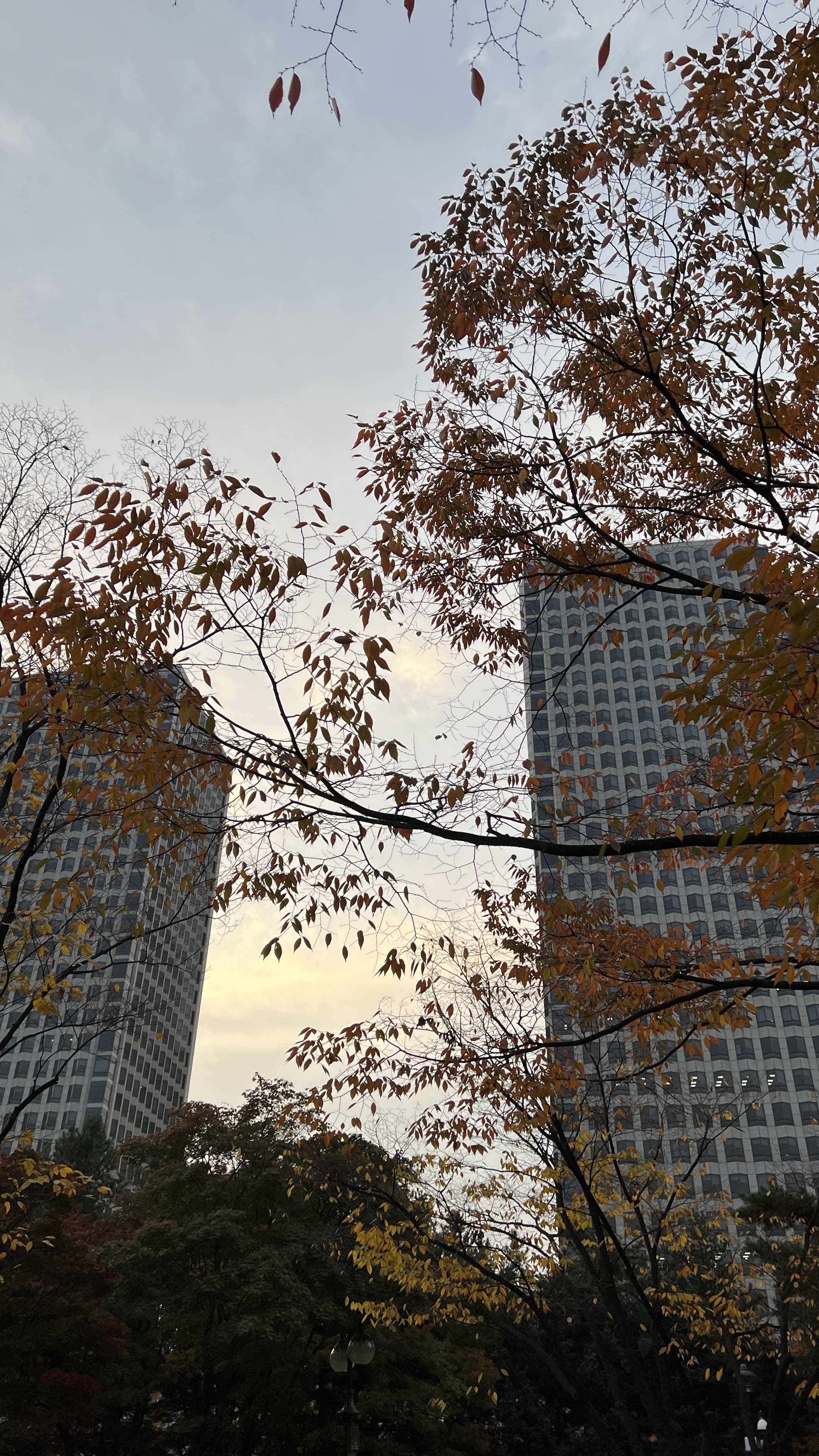 여의도 한강공원