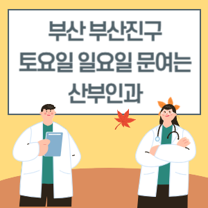 부산 부산진구 토요일 일요일 산부인과 진료 병원 리스트
