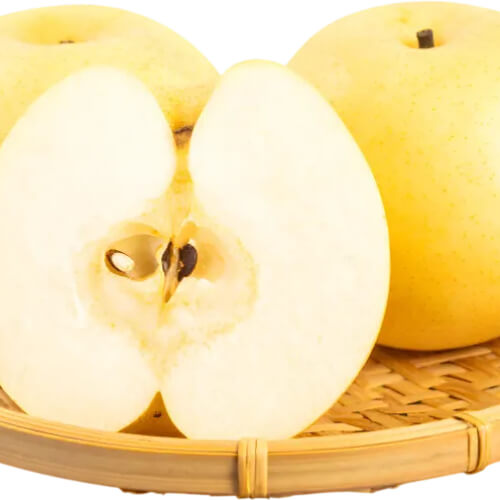 원황배 특징부터 보관법까지! 구매 팁 총정리 관련사진