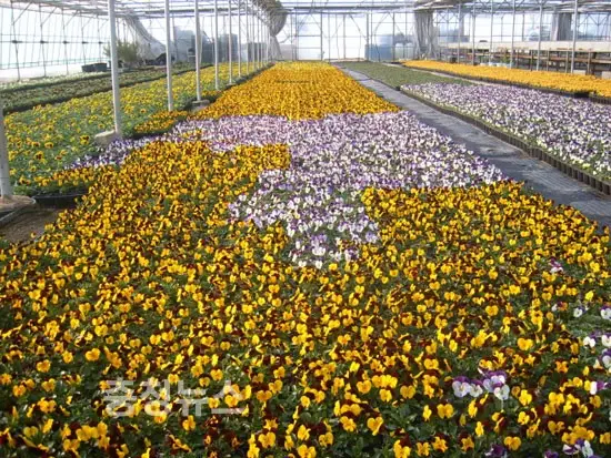 공주 농업기술센터