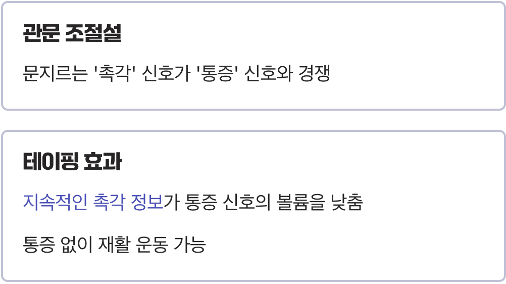 통증의 볼륨을 낮추는 똑똑한 스위치