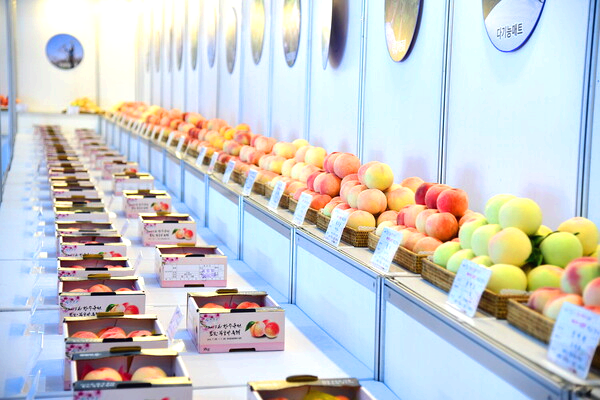 향수 옥천 포도 복숭아축제