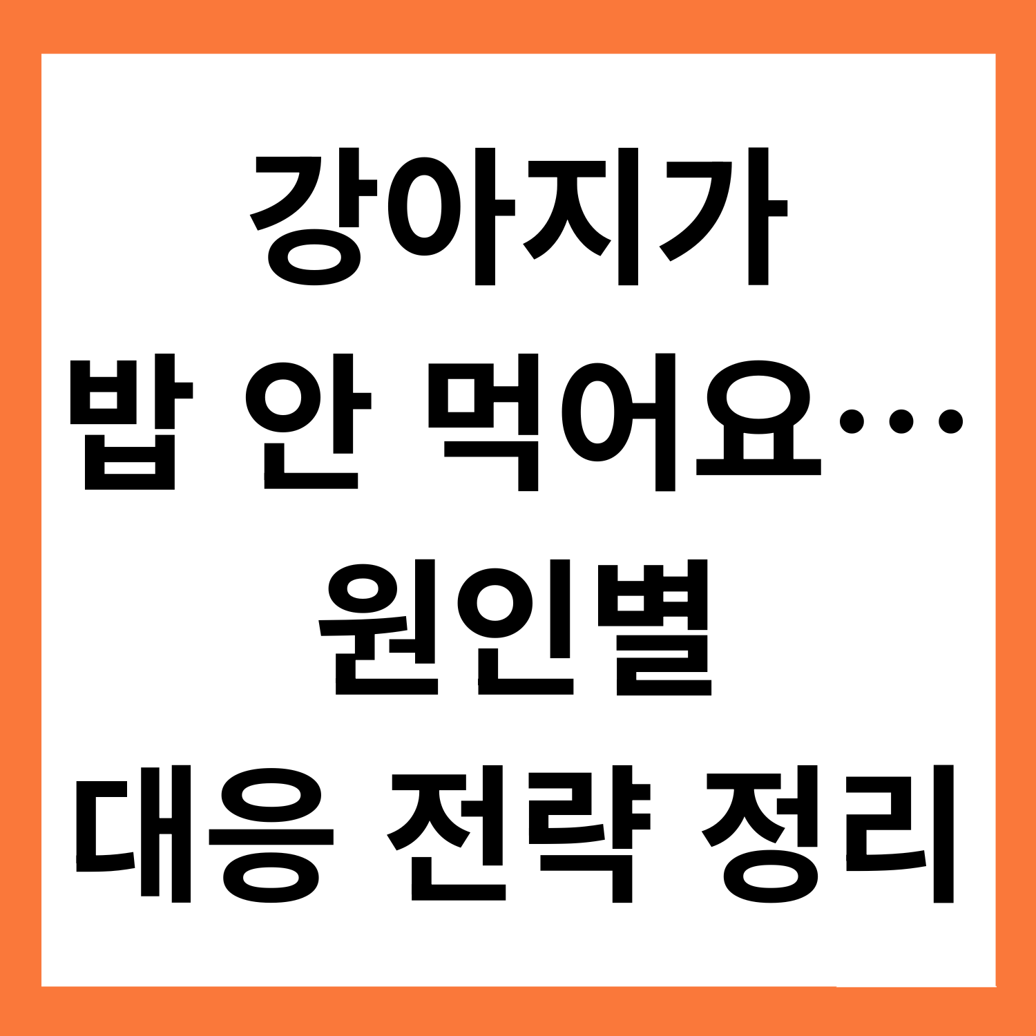 강아지가 밥을 안 먹어요… 원인별 대응 전략 총정리
