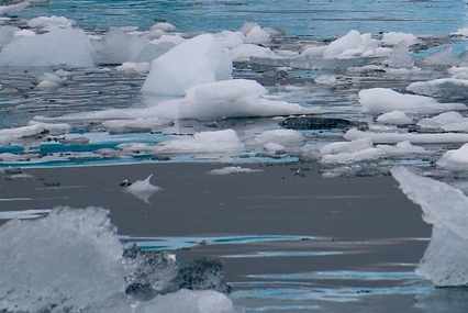 서울시 긴급복지 생계지원금 신청방법 핵심정보 완벽 가이드!