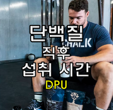 운동 직후 단백질 섭취 시간