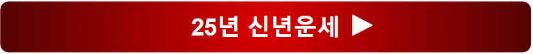 2025년 신년운세 토정비결 오늘의운세 궁합 무료보기