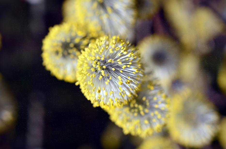 어린이 여름 알레르기 예방법