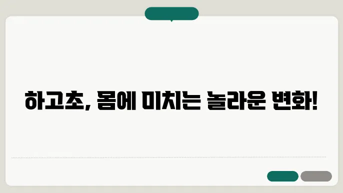 하고초 효능