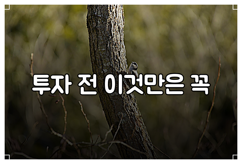 투자 전 이것만은 꼭