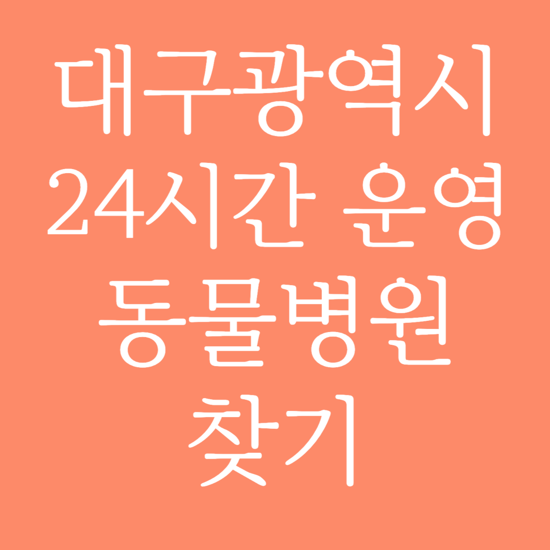 대구광역시 24시간 운영 동물병원 찾기