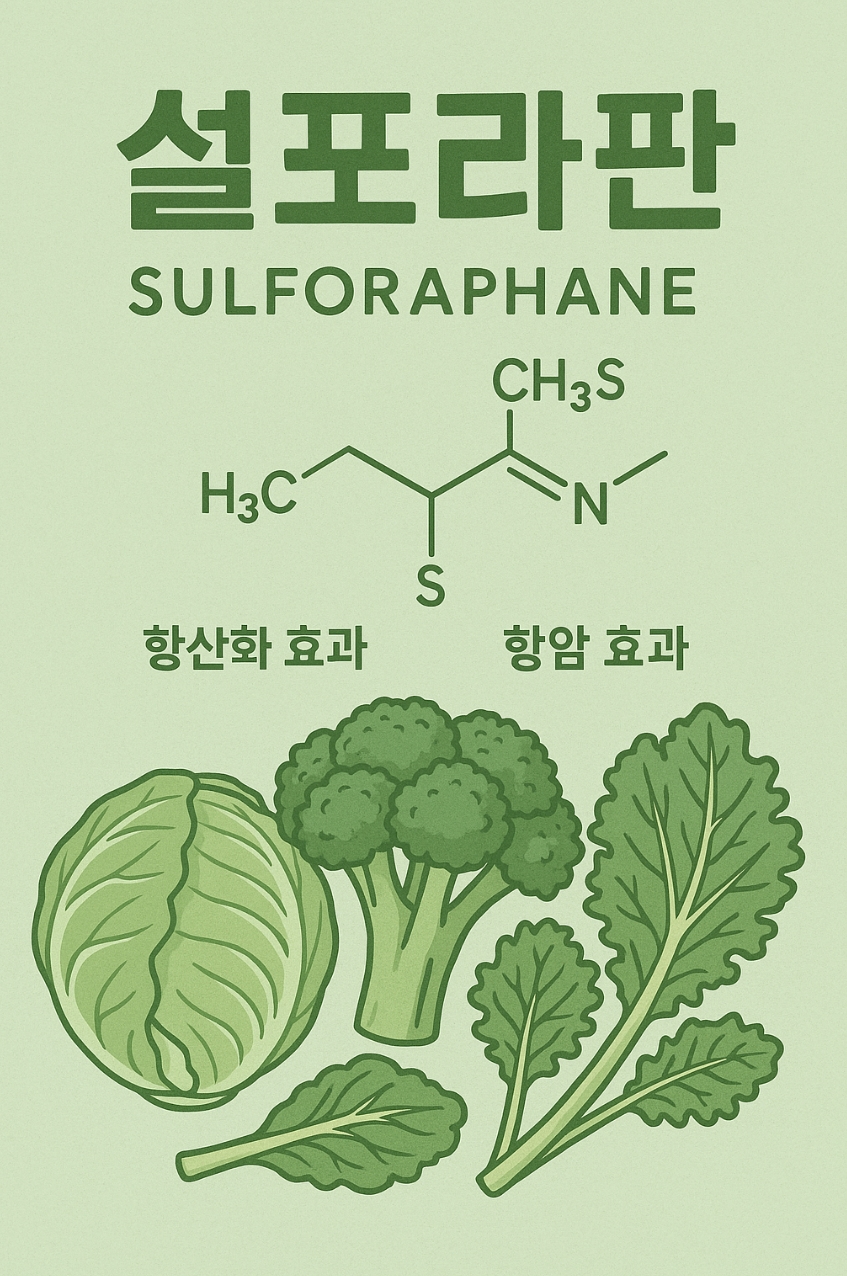 설포라판